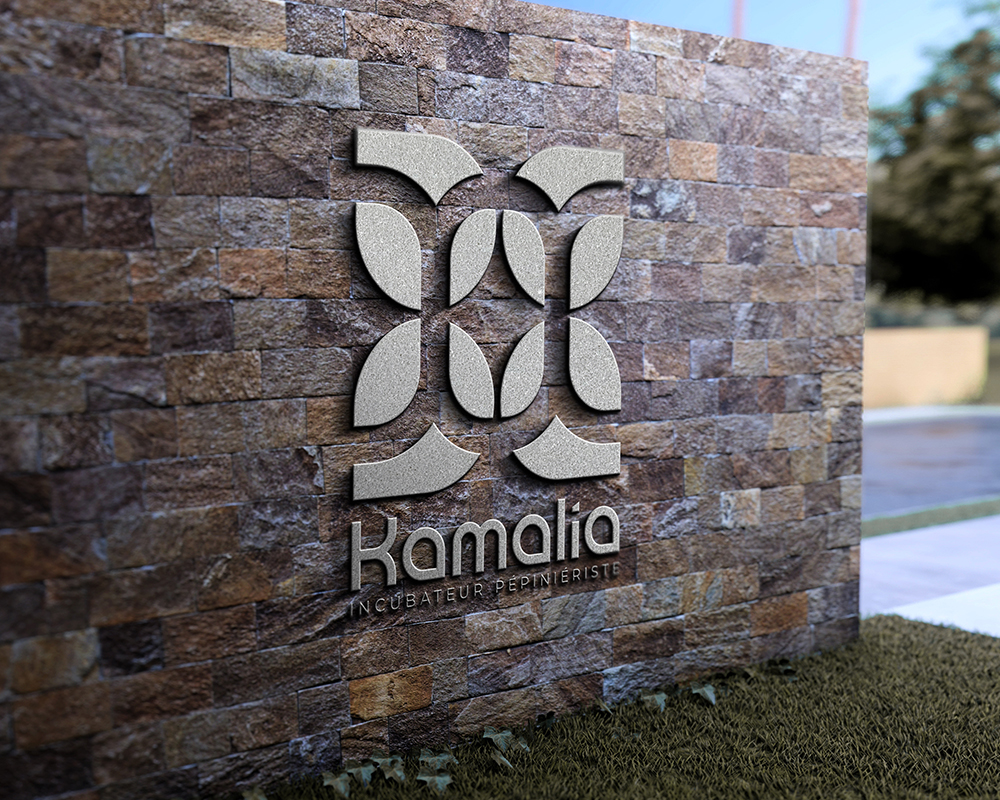 2 Pictogramme graphiste professionnel