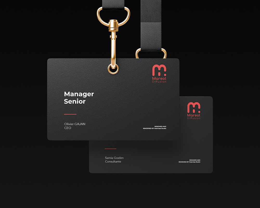 graphiste-identité visuelle logotype pro